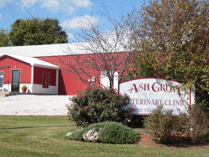grove veterinary clinic